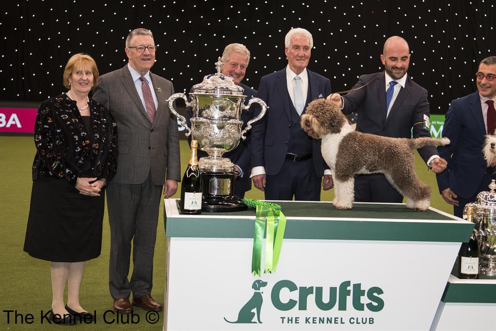 Crufts judges hot sale 2020