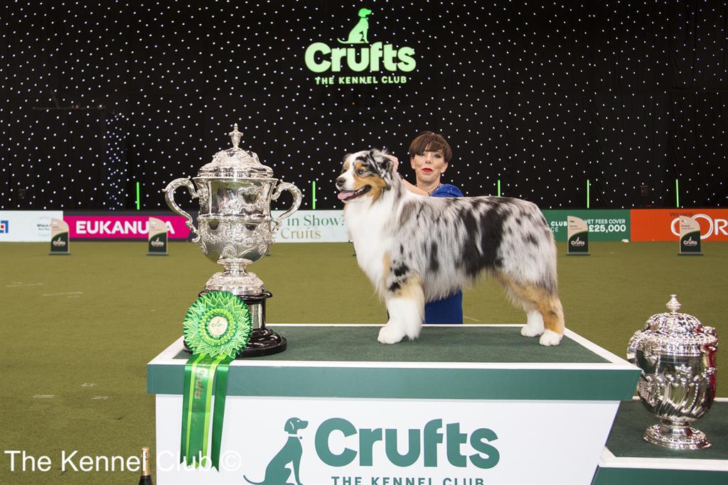 Fosse data sale crufts 2018